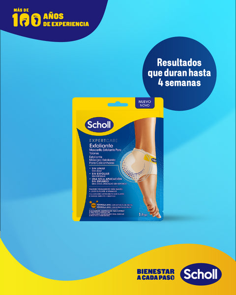 Dr 2025 scholl españa